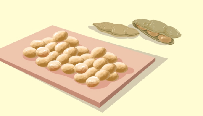 大豆和枸杞一起吃的好处