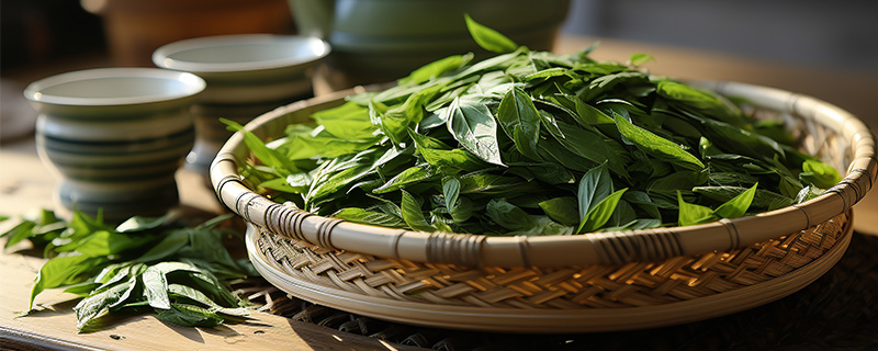 发酵茶有哪些品种