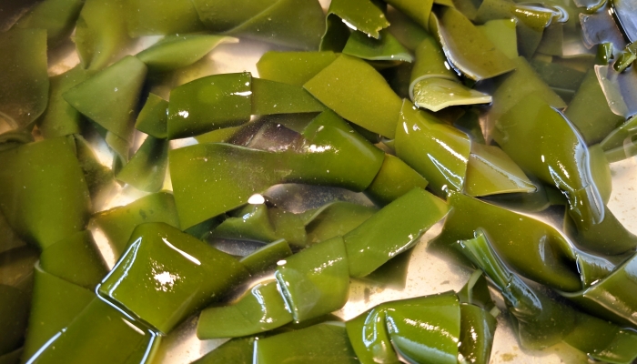 海带和菠菜一起吃的好处