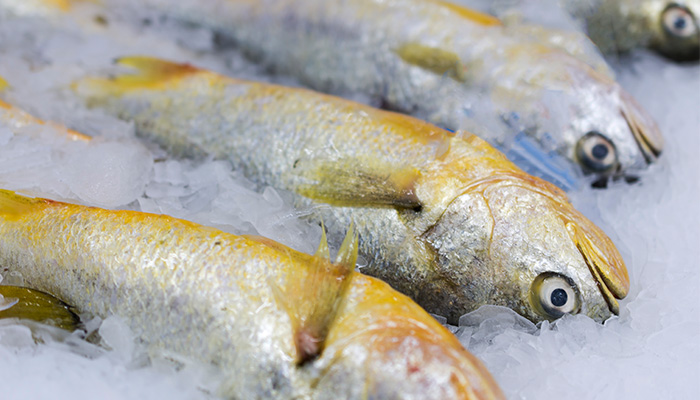 未标题-8.jpg 未标题-8.jpg