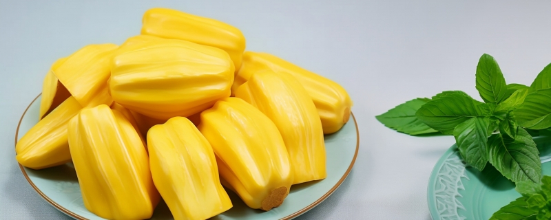 菠萝蜜怎么看熟不熟