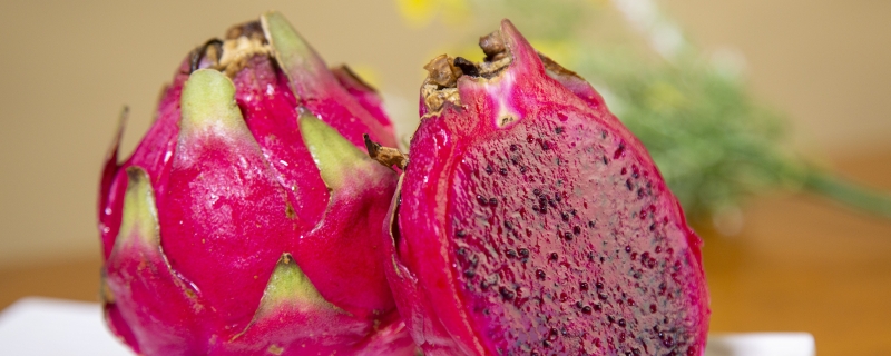 火龙果怎么保存时间长