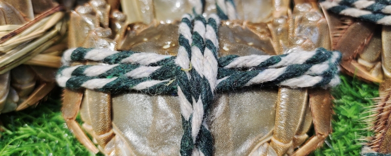 大闸蟹清蒸大概多少分钟