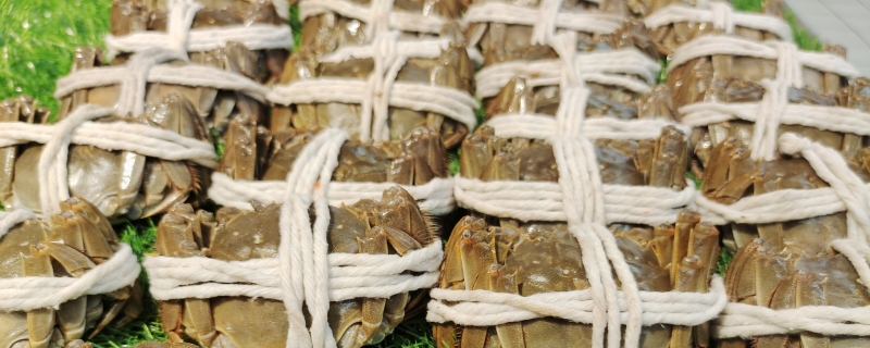 阳澄湖大闸蟹膏为什么是苦的