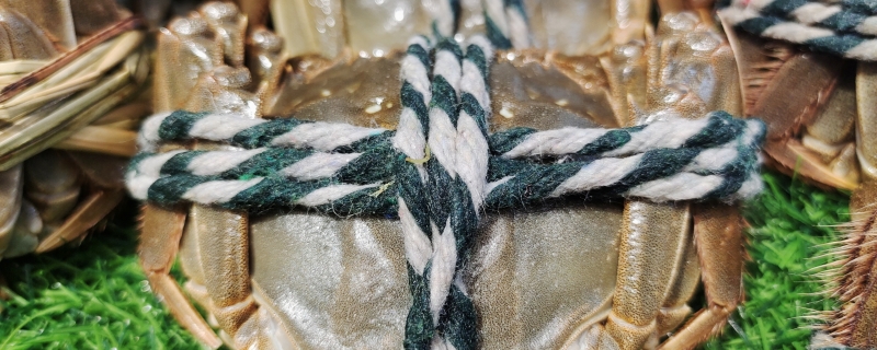 螃蟹腿断了还能长出来吗