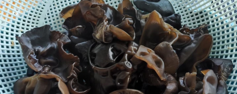 木耳的做法大全家常菜