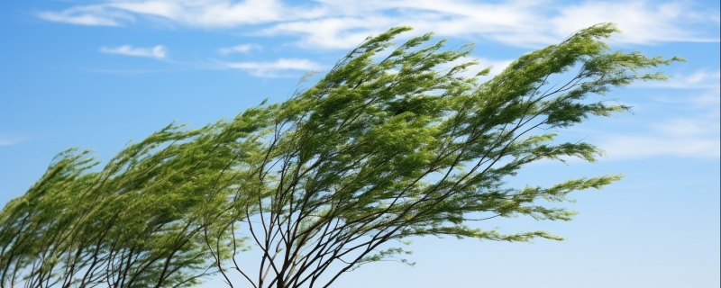 西北风是从哪向哪吹的