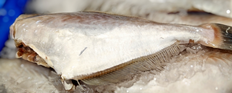 武昌鱼怎么做好吃