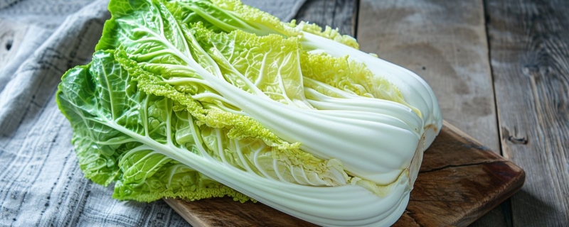 白菜怎么保存长时间不坏