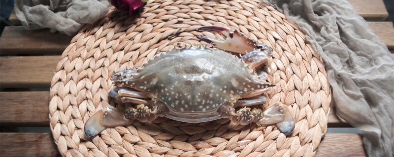 螃蟹吐泡泡是什么原因