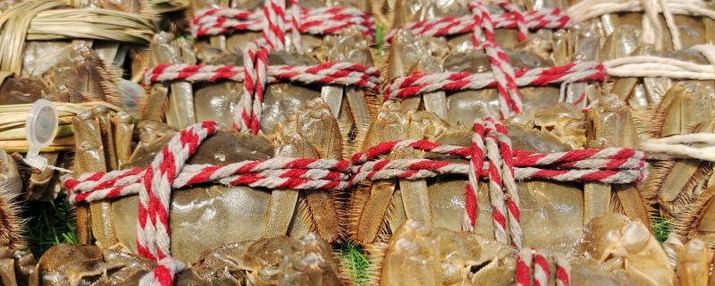 大闸蟹不能与什么食品同食