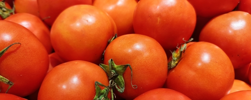 没熟的青西红柿能吃吗