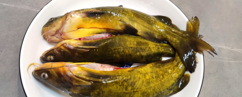 鱼的做法大全家常菜
