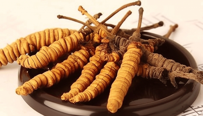 石斛和虫草一起吃的好处