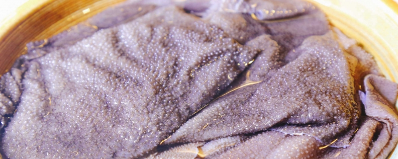 毛肚是什么动物身上的