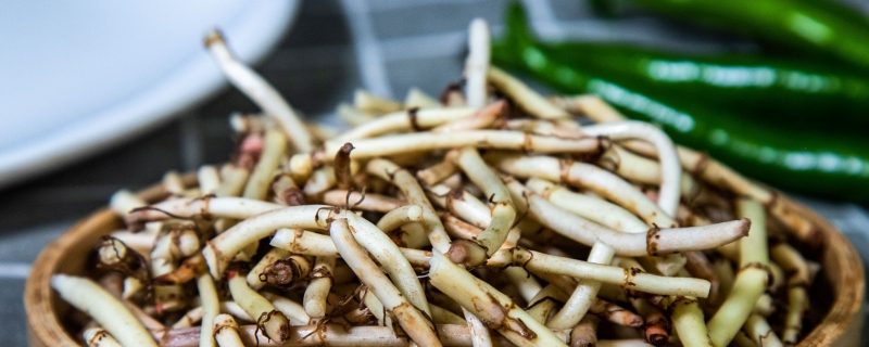 折耳根为什么叫猪皮拱