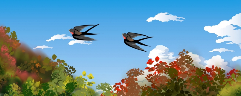 东北春分节气吃什么食物