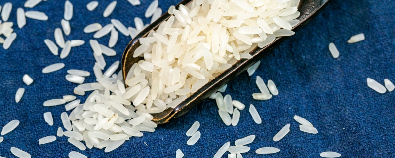 大米怎么保存才不生虫子