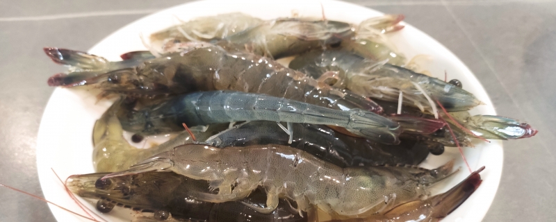 基尾虾的虾线怎么去掉