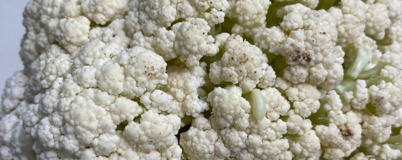 花菜的做法大全家常菜