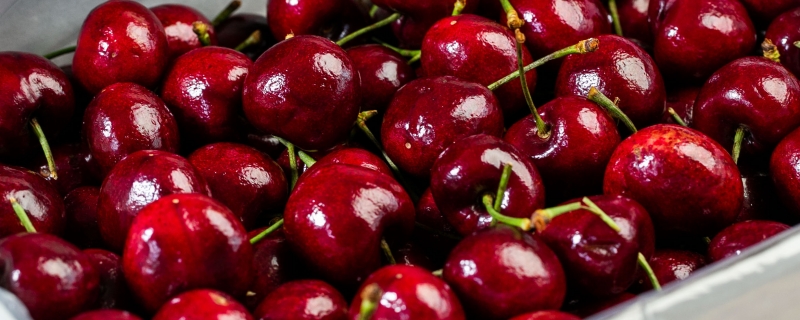 吃不完的车厘子怎么保存