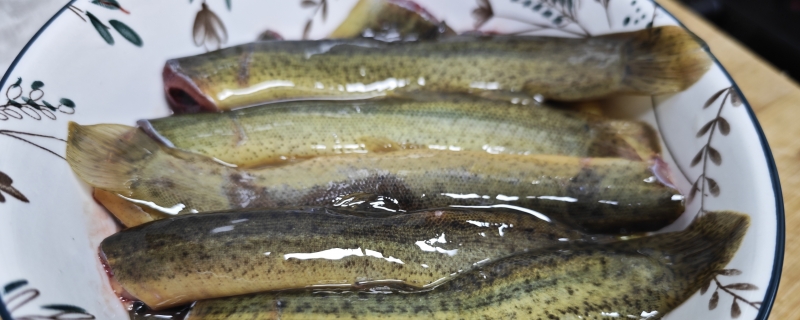 男人的能量站！常吃这3种食物，身体强壮，精力充沛