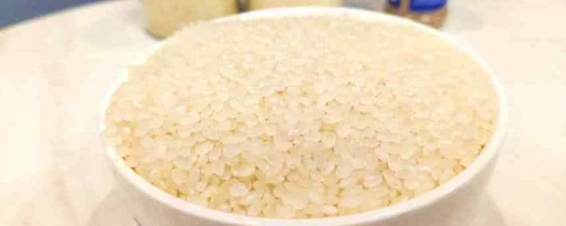 大米怎么保存不生虫子