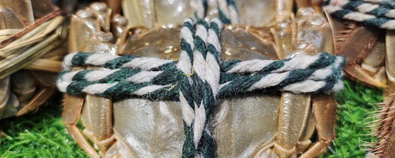 蒸大闸蟹几分钟可以熟透