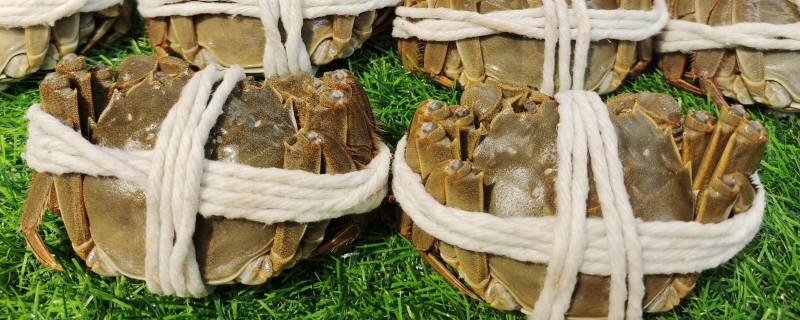 大闸蟹开锅以后蒸多少分钟