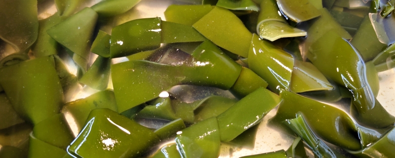 海带的做法大全家常菜