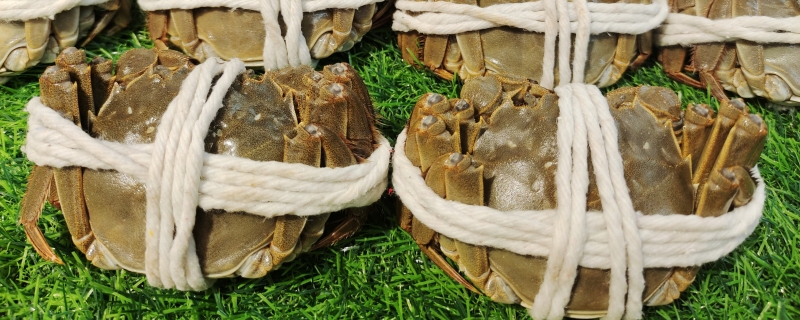 没有冰柜怎么保存大闸蟹