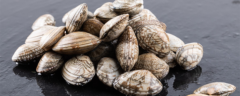 花蛤怎么洗才干净