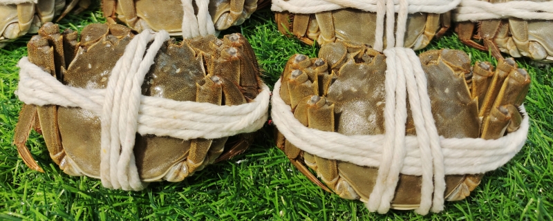 大闸蟹用米醋还是香醋