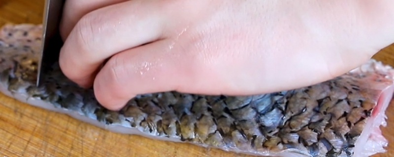 油鱼和鳕鱼的区别