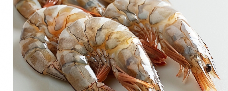 虾的做法大全家常菜