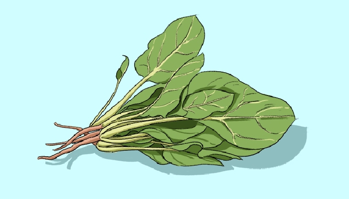 菠菜和豆腐一起吃的好处