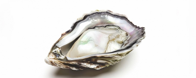 怎么洗生蚝才能洗的又快又干净