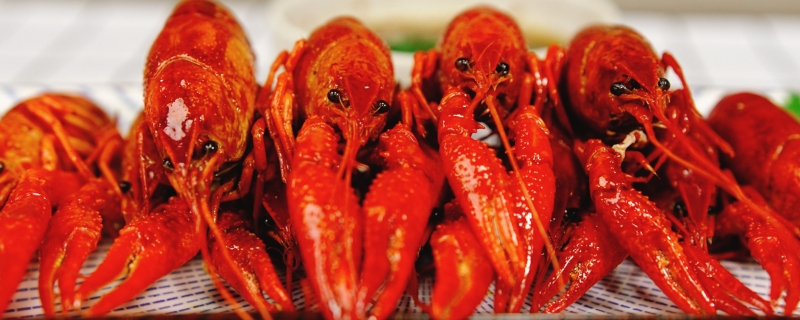 小龙虾怎么保存才新鲜